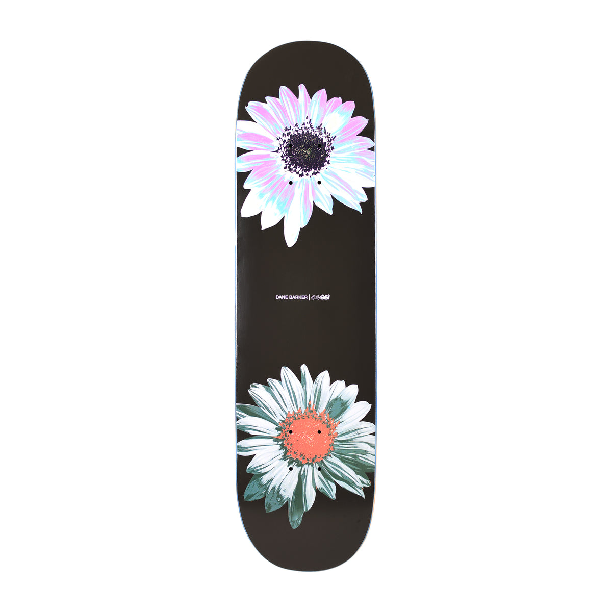 Quasi Barker Heavy Petal 8.1 Deck – Prolific Skate Shop